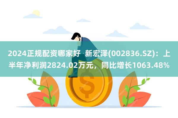 2024正规配资哪家好  新宏泽(002836.SZ)：上半年净利润2824.02万元，同比增长1063.48%