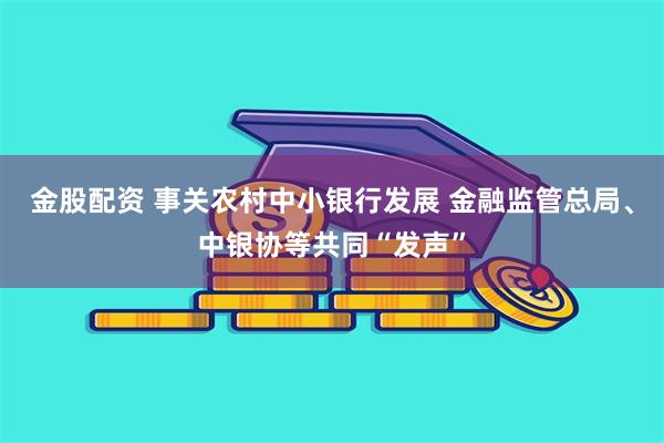 金股配资 事关农村中小银行发展 金融监管总局、中银协等共同“发声”