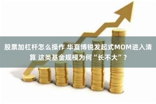 股票加杠杆怎么操作 华夏博锐发起式MOM进入清算 这类基金规模为何“长不大”？