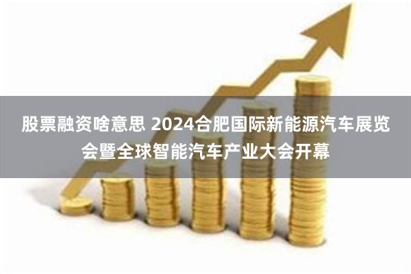 股票融资啥意思 2024合肥国际新能源汽车展览会暨全球智能汽车产业大会开幕