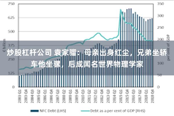 炒股杠杆公司 袁家骝：母亲出身红尘，兄弟坐轿车他坐骡，后成闻名世界物理学家