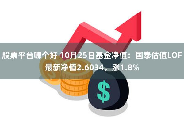 股票平台哪个好 10月25日基金净值：国泰估值LOF最新净值2.6034，涨1.8%