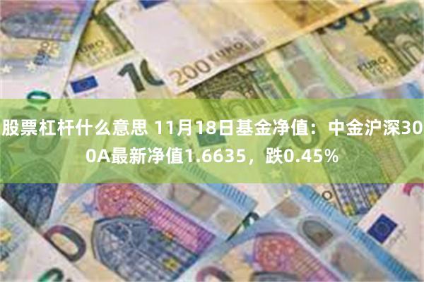 股票杠杆什么意思 11月18日基金净值：中金沪深300A最新净值1.6635，跌0.45%