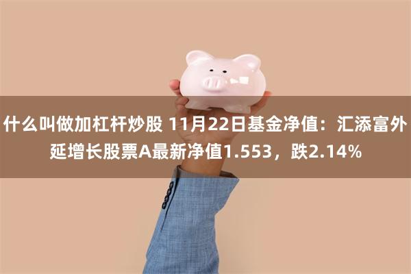 什么叫做加杠杆炒股 11月22日基金净值：汇添富外延增长股票A最新净值1.553，跌2.14%