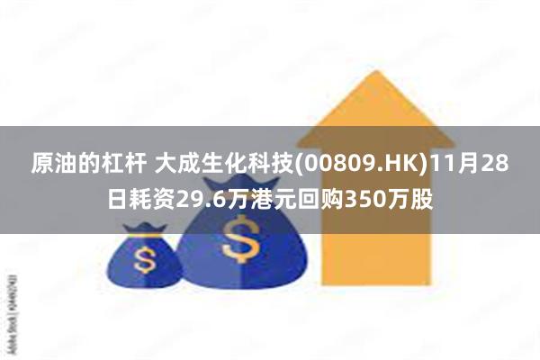 原油的杠杆 大成生化科技(00809.HK)11月28日耗资29.6万港元回购350万股