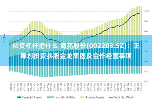 融资杠杆指什么 海亮股份(002203.SZ)：正筹划投资参股金龙集团及合作经营事项