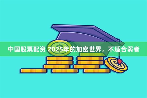 中国股票配资 2025年的加密世界，不适合弱者