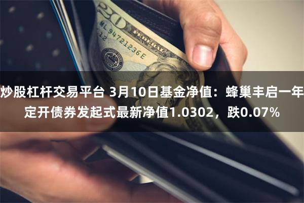 炒股杠杆交易平台 3月10日基金净值：蜂巢丰启一年定开债券发起式最新净值1.0302，跌0.07%